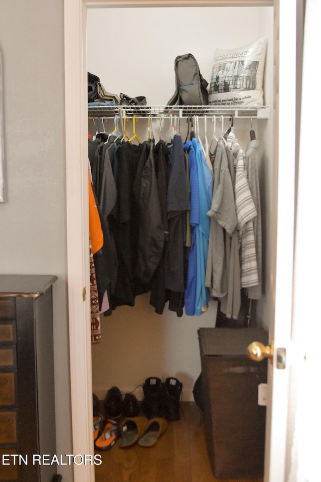 view of walk in closet