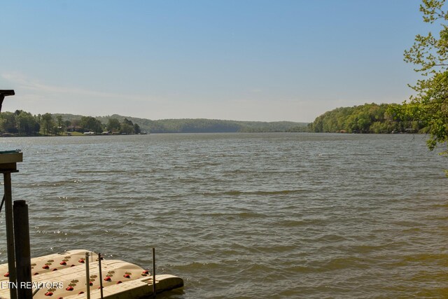 view of water feature