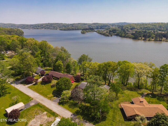 aerial view with a water view and a view of trees