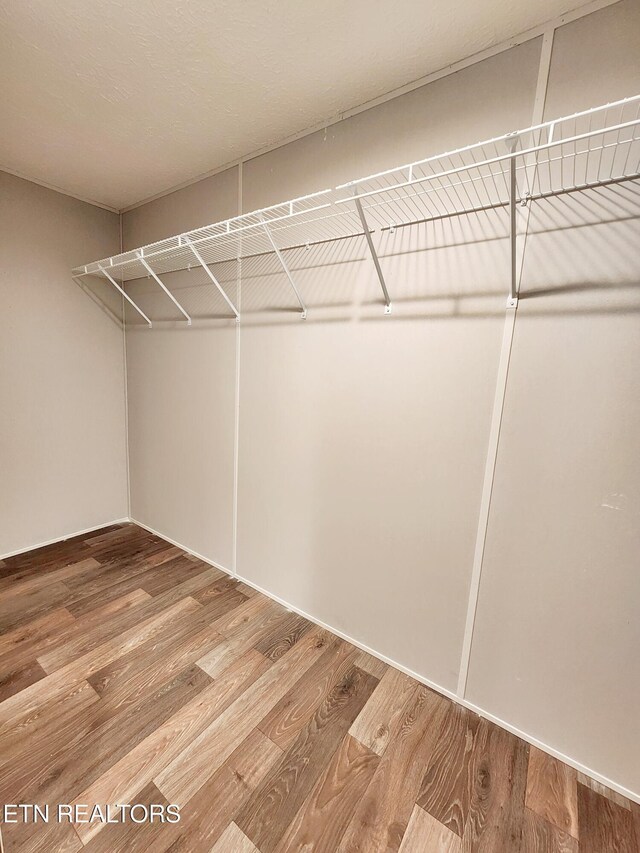 spacious closet featuring wood finished floors