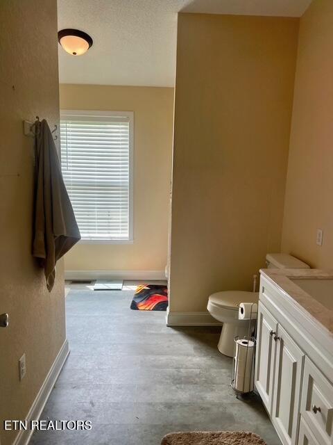 181 Chestnut Rd, Speedwell, TN 37870 - photo 14