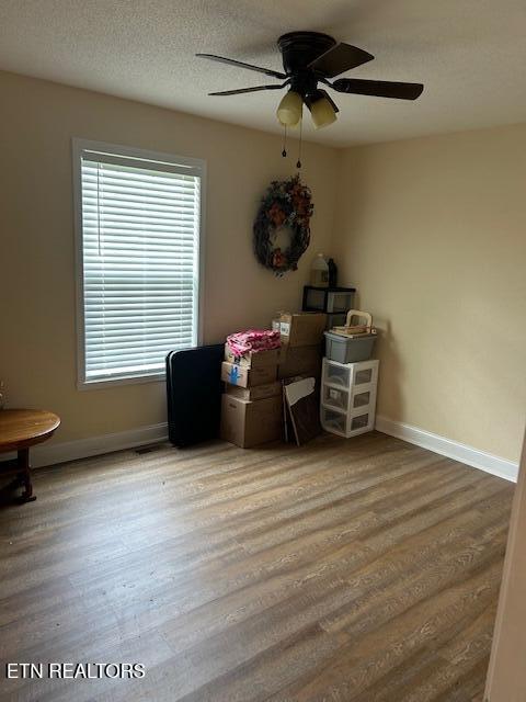 181 Chestnut Rd, Speedwell, TN 37870 - photo 19