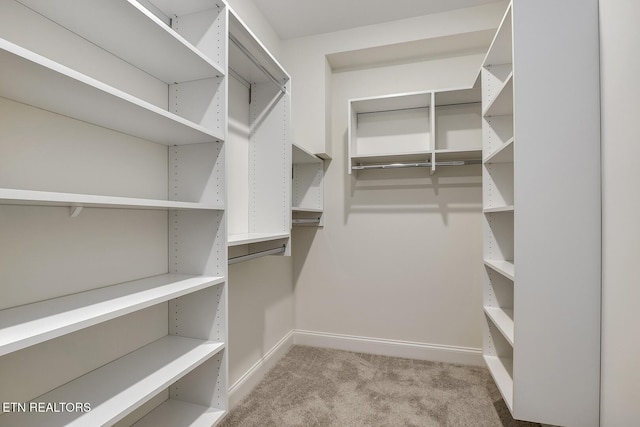 walk in closet featuring carpet