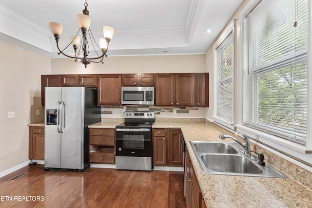 kitchen with a sink, appliances with stainless steel finishes, a wealth of natural light, and a tray ceiling