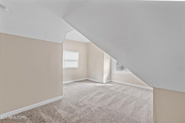additional living space featuring baseboards, carpet, and lofted ceiling
