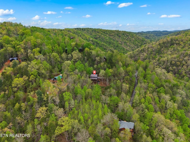 aerial view with a wooded view