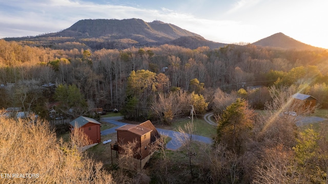 1218 Sugar Loaf Rd, Sevierville, TN 37876 - view of mountain feature featuring a wooded view