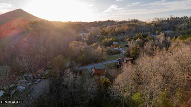 1218 Sugar Loaf Rd, Sevierville, TN 37876 - birds eye view of property with a wooded view and a mountain view