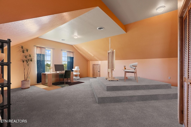 2869 Luther Catlett Cir, Sevierville, TN 37876 - carpeted office space with lofted ceiling