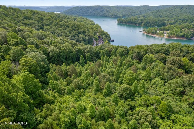 00 Chestnut Stump Rd, Lafollette, TN 37766