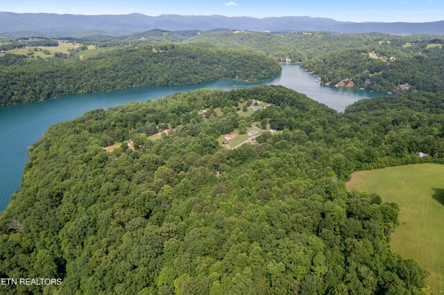 00 Chestnut Stump Rd, Lafollette, TN 37766