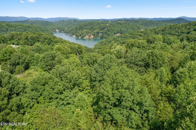00 Chestnut Stump Rd, Lafollette, TN 37766