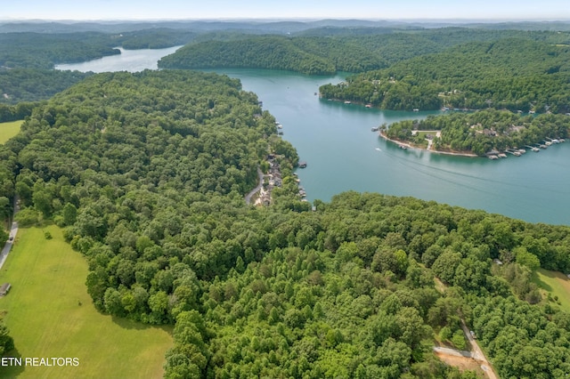 00 Chestnut Stump Rd, Lafollette, TN 37766