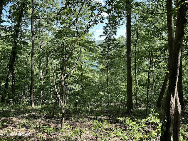 00 Chestnut Stump Rd, Lafollette, TN 37766