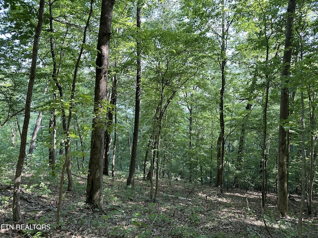 00 Chestnut Stump Rd, Lafollette, TN 37766