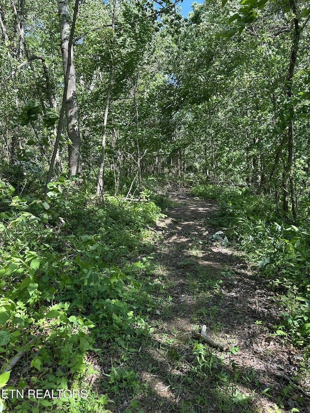 00 Chestnut Stump Rd, Lafollette, TN 37766