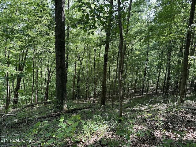 00 Chestnut Stump Rd, Lafollette, TN 37766