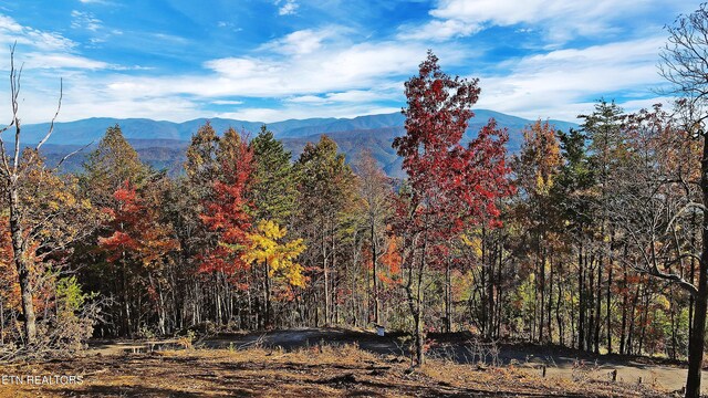 TRACT6 Look Rock Crest Dr, Maryville, TN 37803