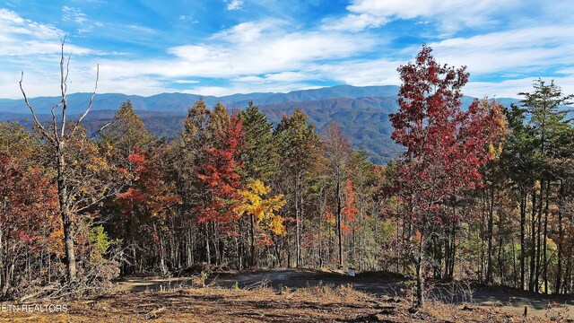 TRACT6 Look Rock Crest Dr, Maryville, TN 37803