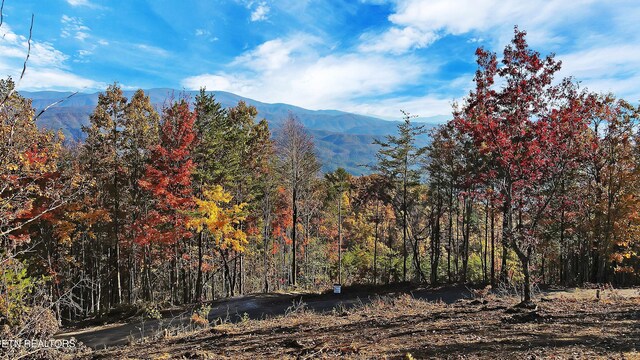 TRACT6 Look Rock Crest Dr, Maryville, TN 37803