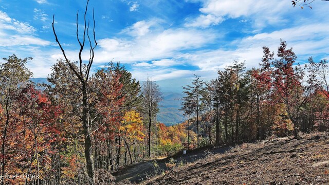 TRACT6 Look Rock Crest Dr, Maryville, TN 37803