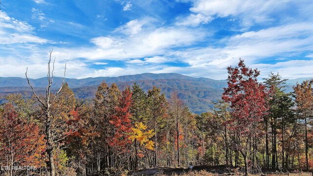 TRACT6 Look Rock Crest Dr, Maryville, TN 37803