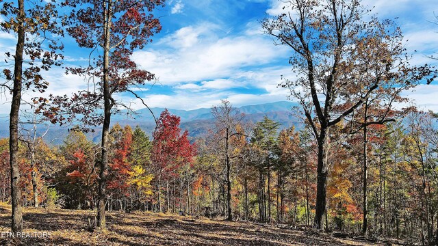 TRACT6 Look Rock Crest Dr, Maryville, TN 37803