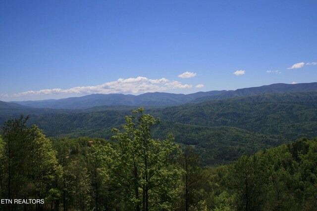 TRACT6 Look Rock Crest Dr, Maryville, TN 37803
