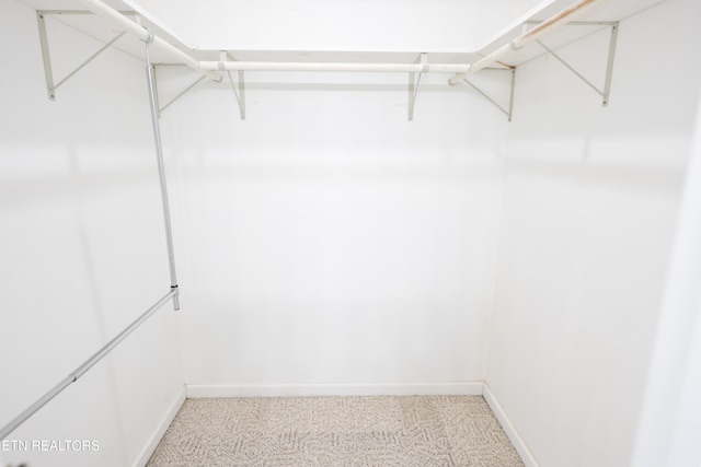 spacious closet with light carpet