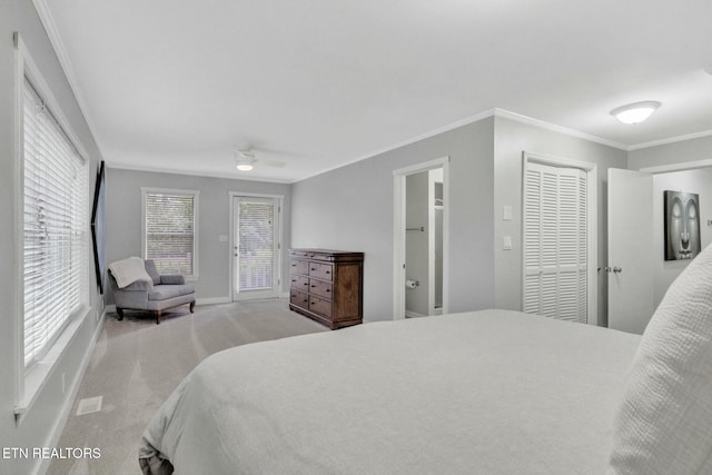 carpeted bedroom featuring ornamental molding, multiple windows, and access to exterior