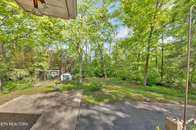 view of yard featuring a storage unit, an outdoor structure, and a patio area