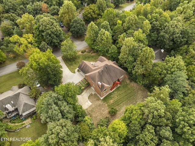 drone / aerial view
