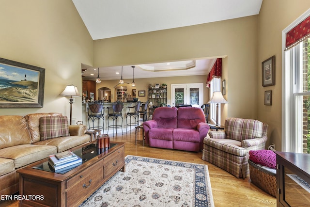living area with a tray ceiling and wood finished floors