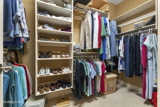 walk in closet with carpet flooring