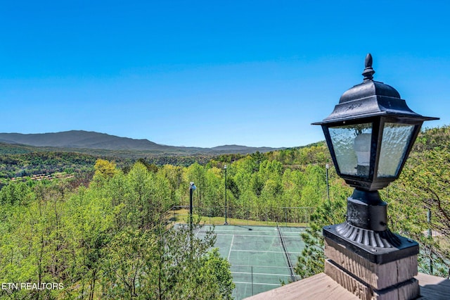 mountain view with a forest view