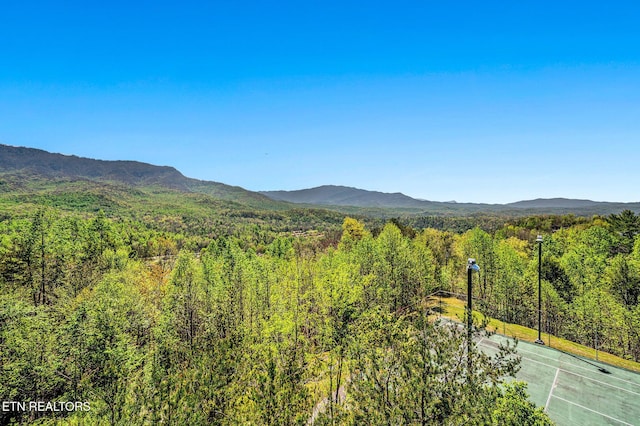 view of mountain feature featuring a view of trees