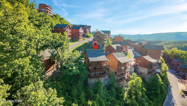 1230 Bird Nest Way, Sevierville, TN 37862 - aerial view of mountains