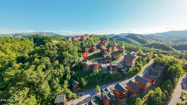 1230 Bird Nest Way, Sevierville, TN 37862 - view of property location with mountains