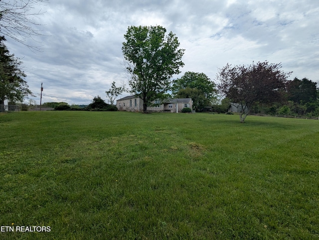 view of yard