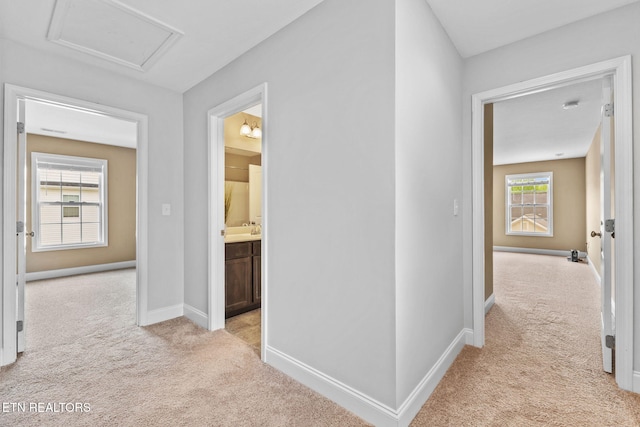 101 Fortenberry St, Oak Ridge, TN 37830 - hall featuring baseboards, attic access, light carpet, and a sink