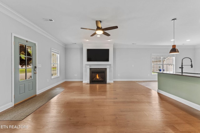 101 Fortenberry St, Oak Ridge, TN 37830 - unfurnished living room with light wood-style flooring, visible vents, ceiling fan, and a wealth of natural light