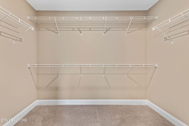 101 Fortenberry St, Oak Ridge, TN 37830 - walk in closet featuring carpet floors