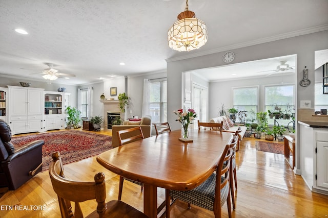dining room with ceiling fan, plenty of natural light, and light wood-style flooring