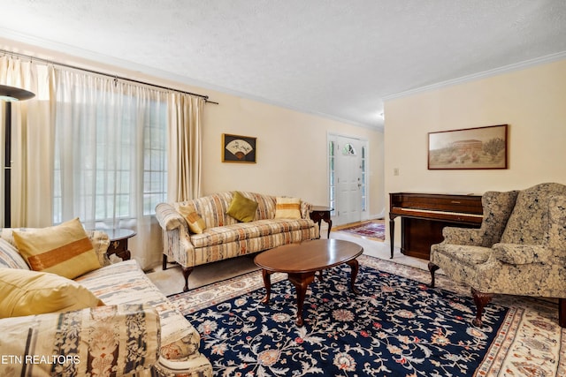 living area featuring a textured ceiling and ornamental molding