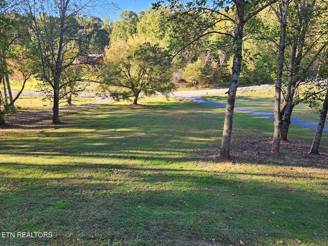 3131 Valley Home Rd, Sevierville, TN 37862 - surrounding community featuring a yard