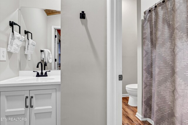 3131 Valley Home Rd, Sevierville, TN 37862 - bathroom featuring wood finished floors, vanity, and toilet