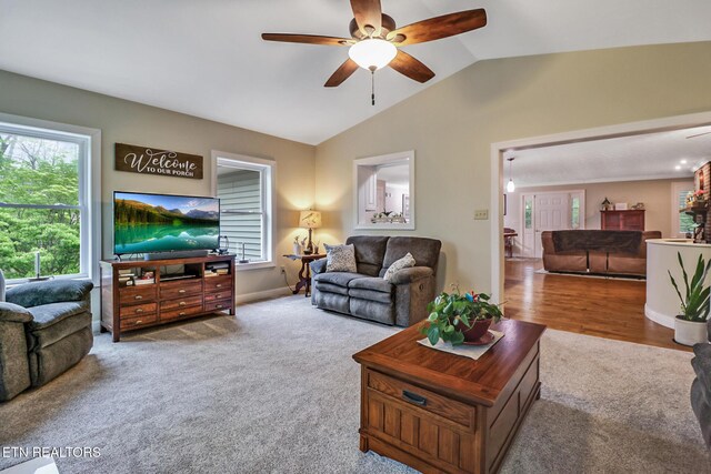 177 Delbridge Ln, Crossville, TN 38558 - photo 22