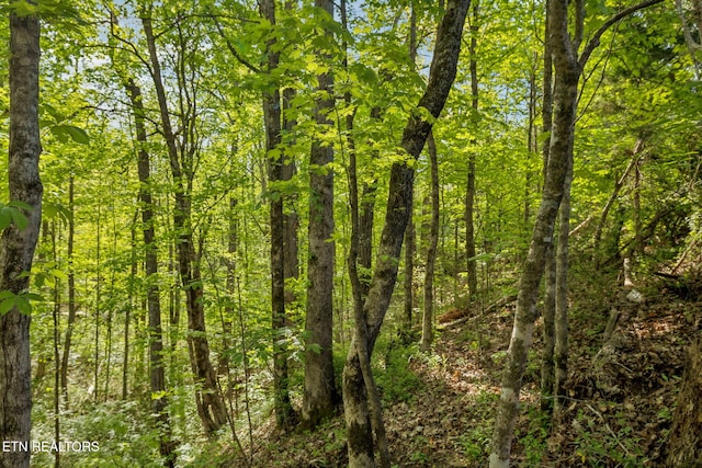 1351 Mortar Rd, Sevierville, TN 37876