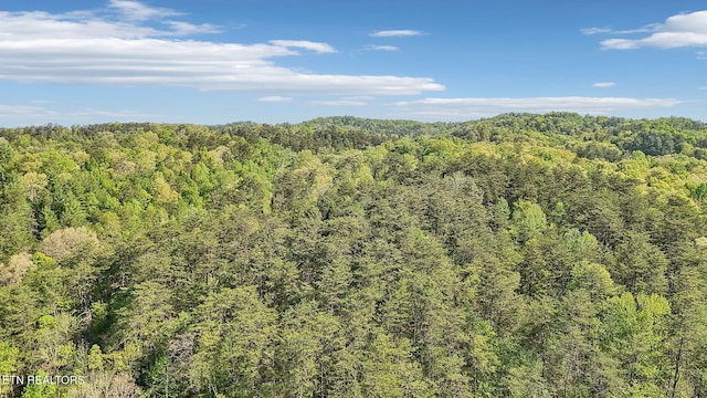 1351 Mortar Rd, Sevierville, TN 37876