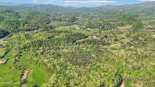 1351 Mortar Rd, Sevierville, TN 37876
